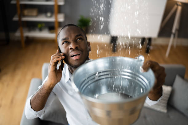 Best Water damage restoration experts  in New Beaver, PA