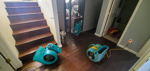 Best Water damage restoration company  in New Beaver, PA