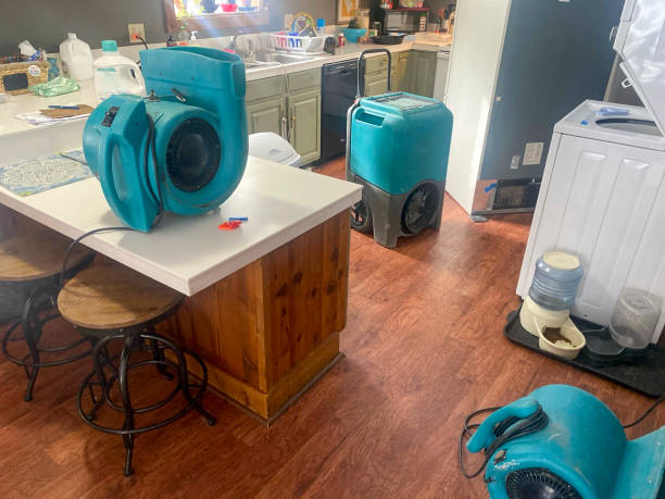 Best Professional water damage repair  in New Beaver, PA