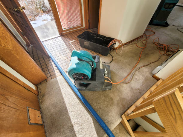 Best Mold removal after water damage  in New Beaver, PA