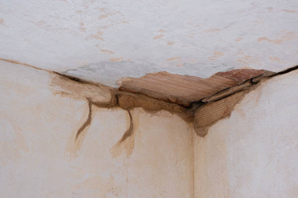 Best Residential water damage restoration  in New Beaver, PA