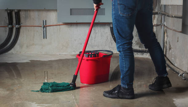  New Beaver, PA Water damage restoration Pros