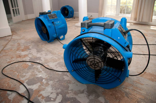  New Beaver, PA Water damage restoration Pros