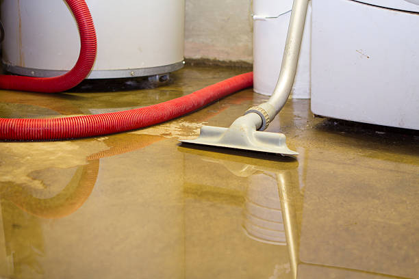 Best Flood damage cleanup  in New Beaver, PA