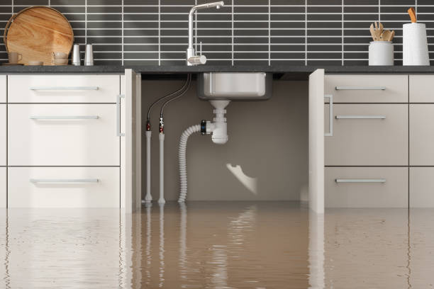Best Residential water damage restoration  in New Beaver, PA
