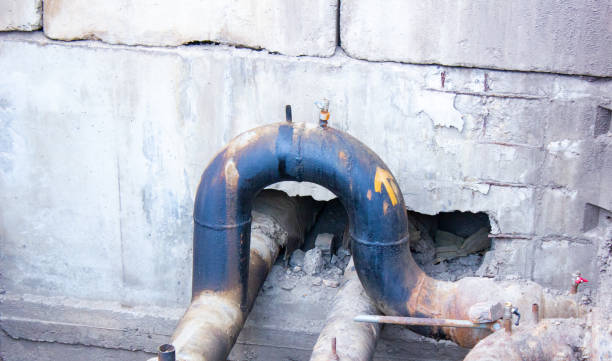 Best Mold removal after water damage  in New Beaver, PA