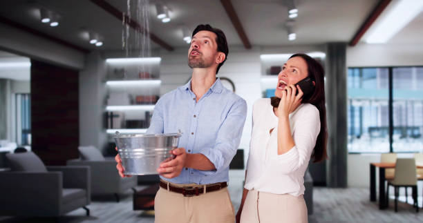 Best Water damage restoration near me  in New Beaver, PA