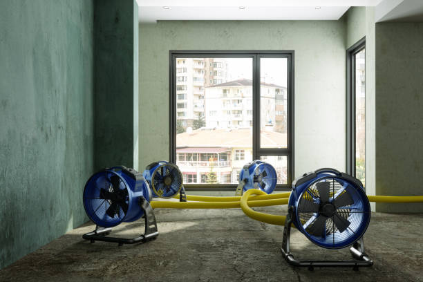 Best Water damage restoration near me  in New Beaver, PA