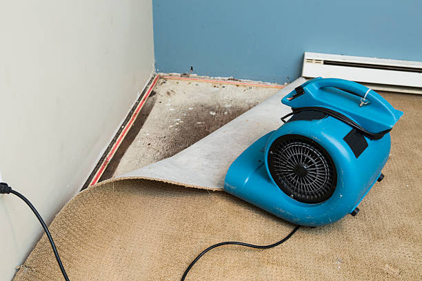 Best Local water damage restoration  in New Beaver, PA